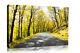 Yellow Trees Lined Road Landscape Canvas Wall Art Picture Print ALL SIZES