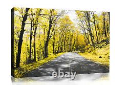 Yellow Trees Lined Road Landscape Canvas Wall Art Picture Print ALL SIZES