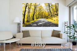 Yellow Trees Lined Road Landscape Canvas Wall Art Picture Print ALL SIZES